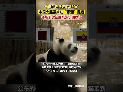 开云体育官,网平台,产品,开云体育,开云体育官网,开云体育app,开云体育平台,KAIYUN,SPORTS,kaiyun登录入口