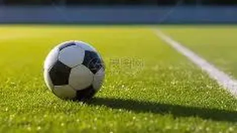 开云体育官网平台 产品 131044 uoj