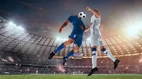 开云体育官网平台 产品 131541 tpr