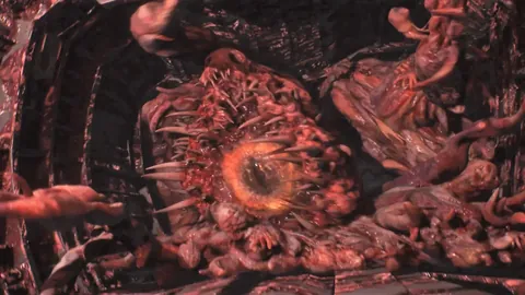 维蒂尼亚：望在葡萄牙国家队复制巴黎辉煌表现