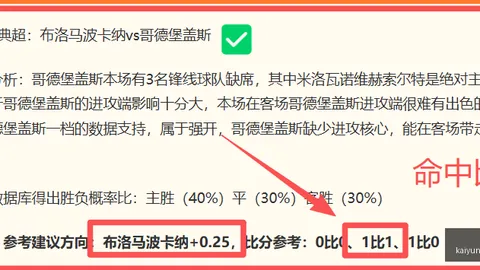 开云体育官网平台 154011 4